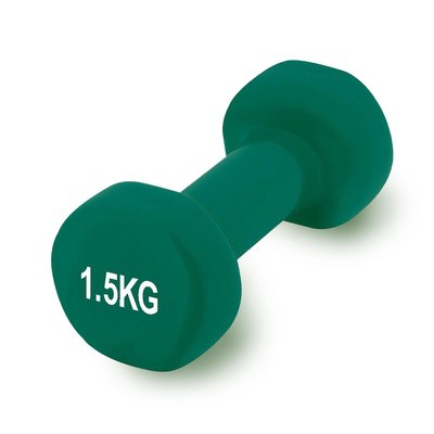 Гантель вінілова PowerPlay 4125 Achilles 1.5 кг. Зелена (1шт.) PW1487938894 фото