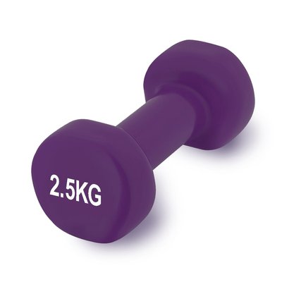 Гантель вінілова PowerPlay 4125 Achilles 2.5 кг. Фіолетова (1шт.) PW1462002581 фото