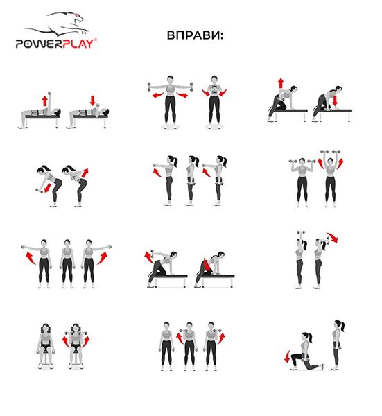 Гантель вінілова PowerPlay 4125 Achilles 2.5 кг. Фіолетова (1шт.) PW1462002581 фото